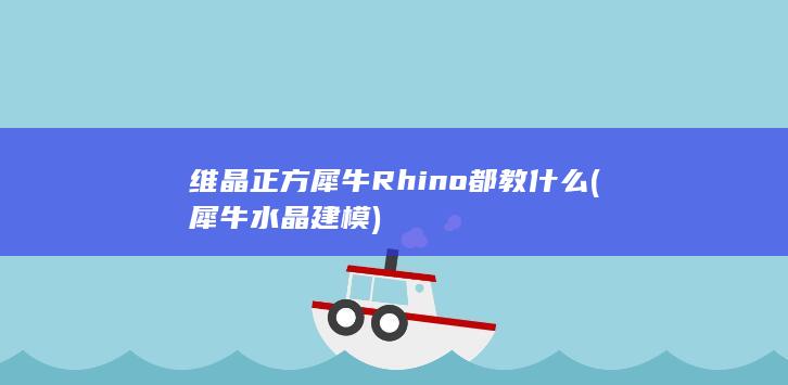 维晶正方犀牛Rhino都教什么