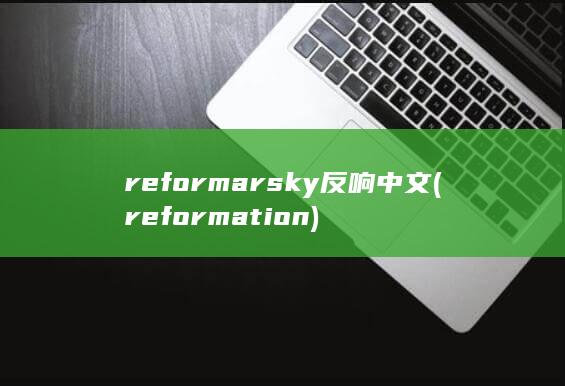 reformarsky反响中文