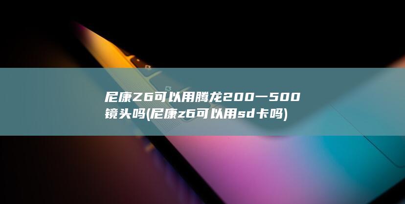 尼康z6可以用sd卡吗