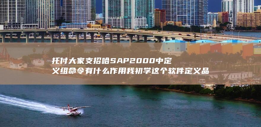 SAP2000中定义组命令有什么作用