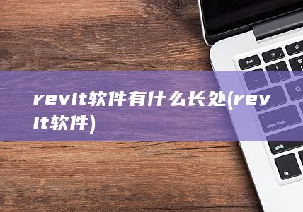 revit软件有什么长处