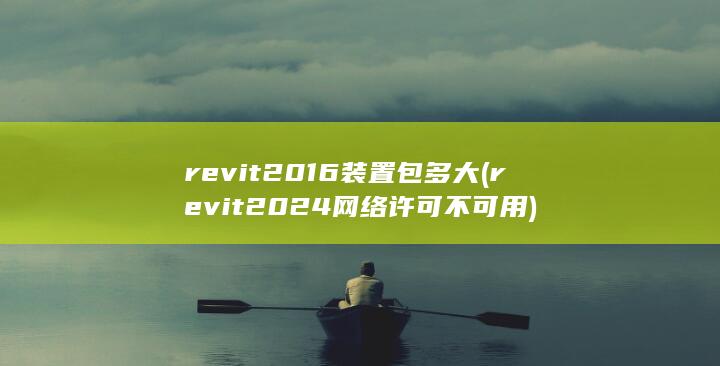 revit2024网络许可不可用