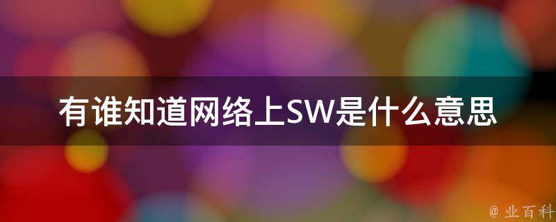 sw是什么软件