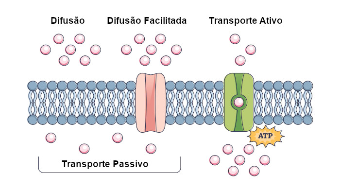 DFusion软件所需的系统最低性能