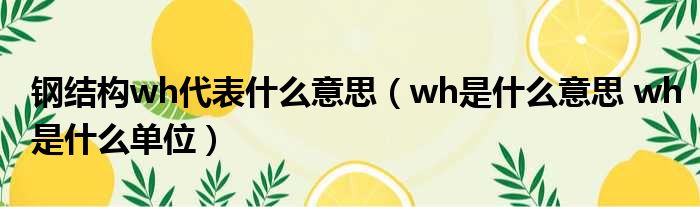 什么是WHS质量控制点