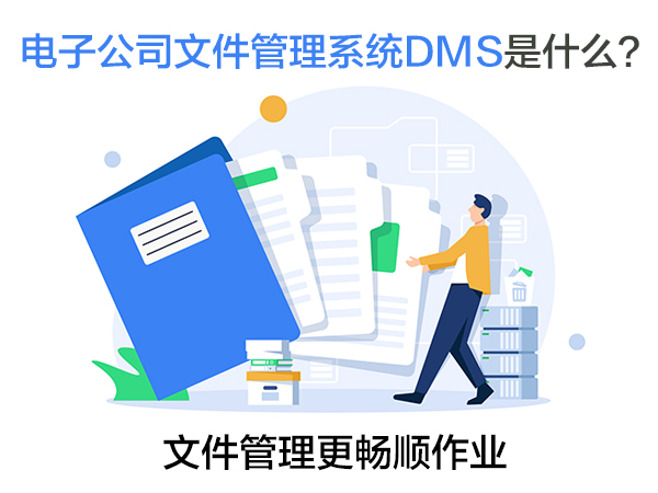 dms是什么意思