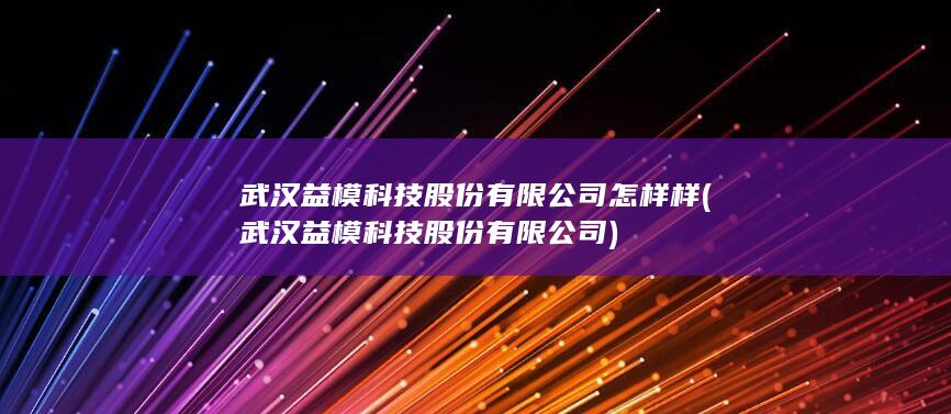 武汉益模科技股份有限公司怎样样