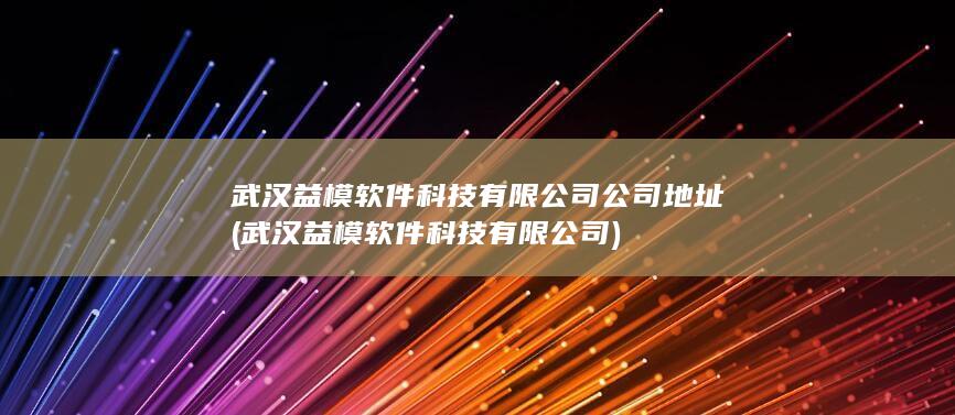 武汉益模软件科技有限公司