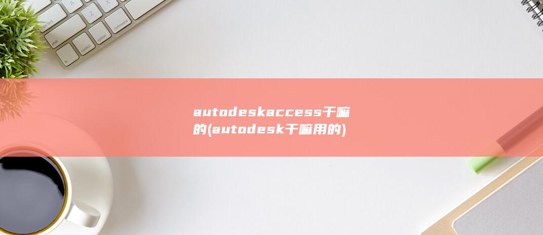 autodeskaccess干嘛的