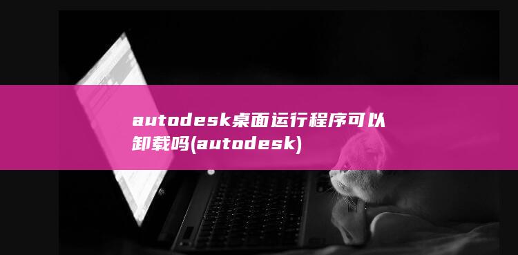 autodesk桌面运行程序可以卸载吗