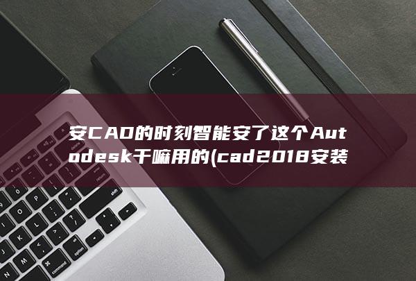 安CAD的时刻智能安了这个