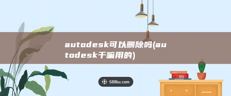 autodesk可以删除吗