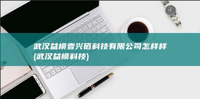 武汉益模壹兴佰科技有限公司怎样样