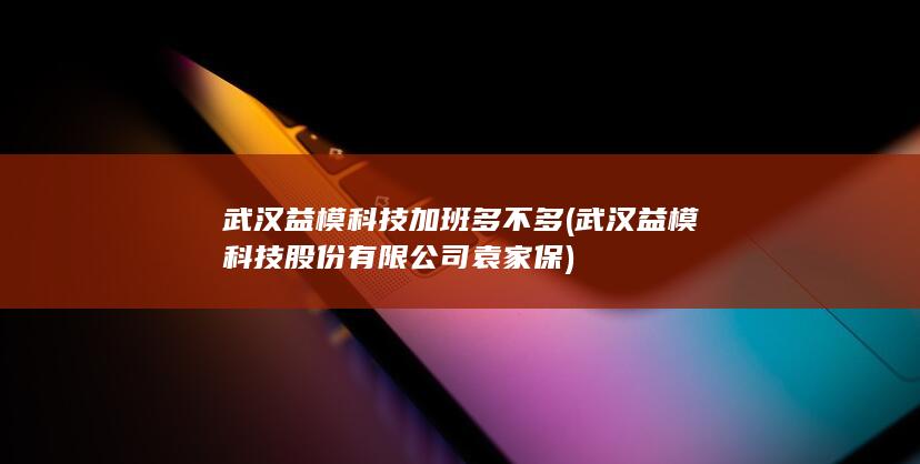 武汉益模科技股份有限公司袁家保