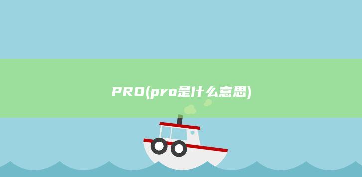 pro是什么意思