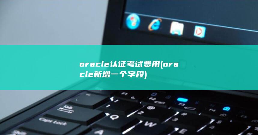 oracle新增一个字段