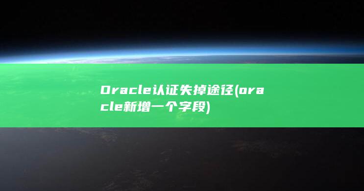 oracle新增一个字段