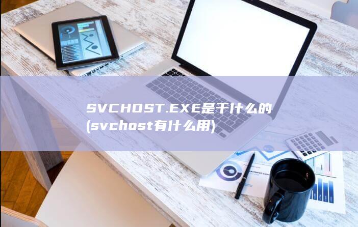 SVCHOST.EXE是干什么的