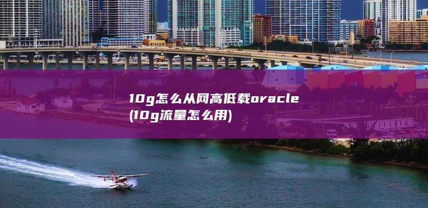 怎么从网高低载oracle