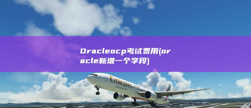 oracle新增一个字段