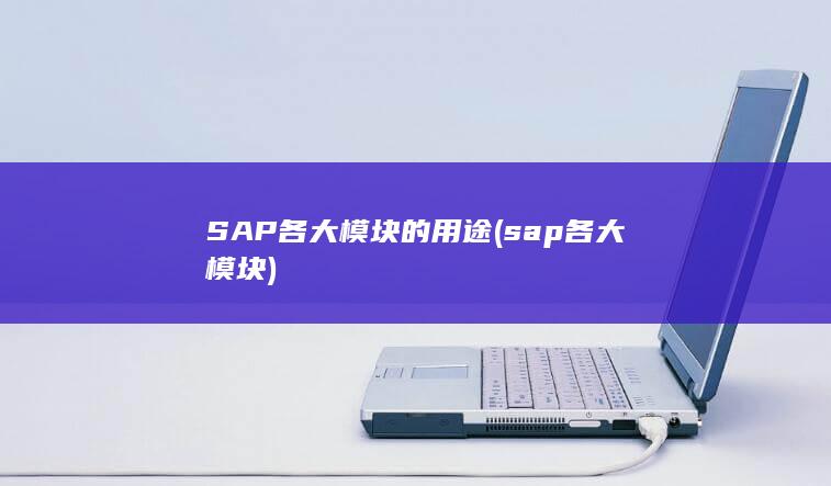 sap各大模块