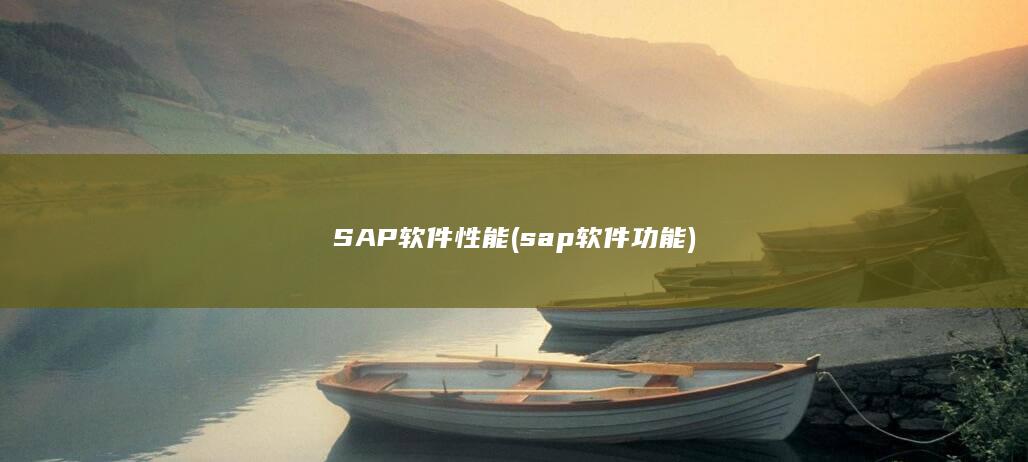 sap软件功能