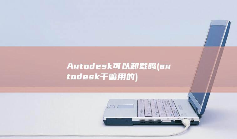 Autodesk可以卸载吗