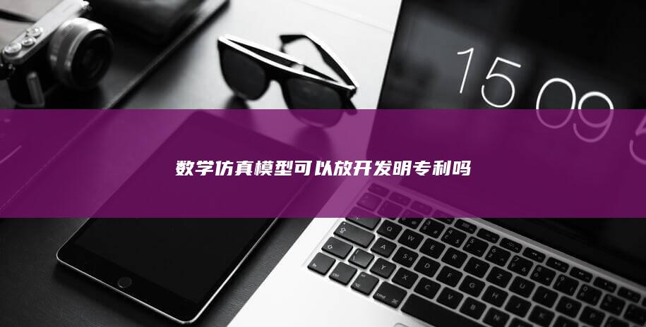 数学仿真模型可以放开发明专利吗