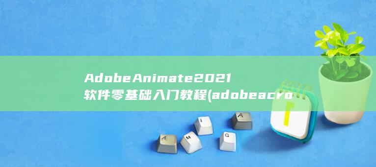 AdobeAnimate2021软件零基础入门教程