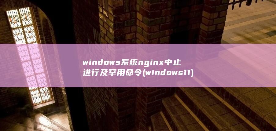 windows系统nginx中止进行及罕用命令